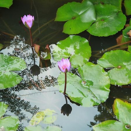 Khach San Linh Huong 호텔 Son La 외부 사진